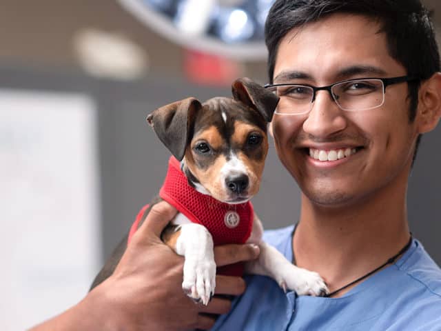 Young man in scrubs and glasses holding small dog in red harness.